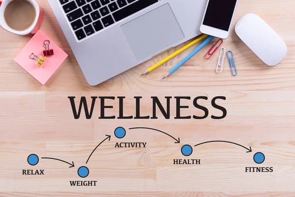 Wellness Wise Website